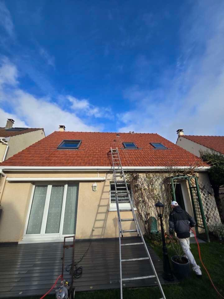 Démoussage toiture 6